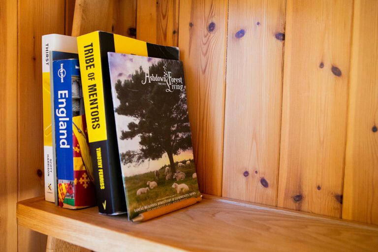 Joseph head shots & air bnb's